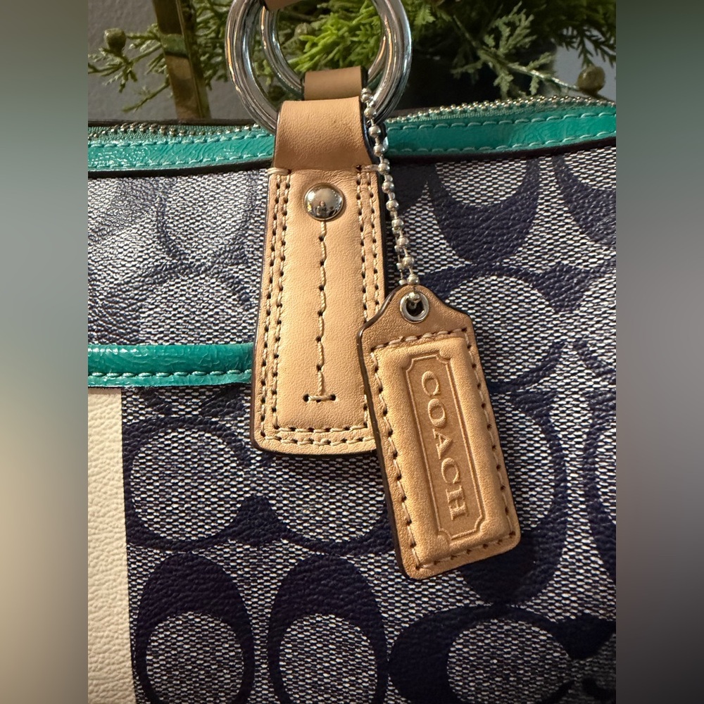 Coach Signature Stripe Jade Satchel/Crossbody - Picture 9 of 16